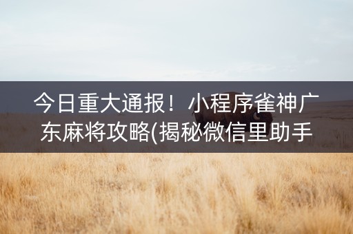 今日重大通报！小程序雀神广东麻将攻略(揭秘微信里助手软件)