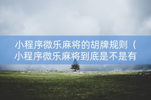 小程序微乐麻将的胡牌规则（小程序微乐麻将到底是不是有挂）