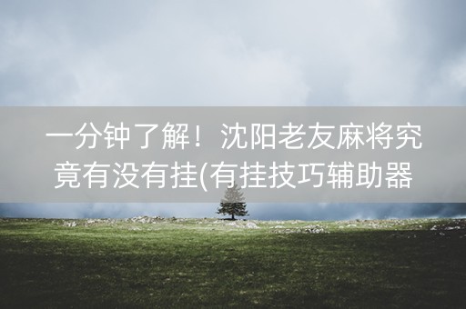 一分钟了解！沈阳老友麻将究竟有没有挂(有挂技巧辅助器)