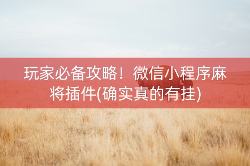 玩家必备攻略！微信小程序麻将插件(确实真的有挂)