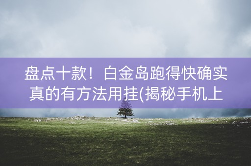 盘点十款！白金岛跑得快确实真的有方法用挂(揭秘手机上插件购买)