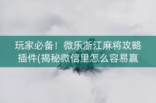 玩家必备！微乐浙江麻将攻略插件(揭秘微信里怎么容易赢)