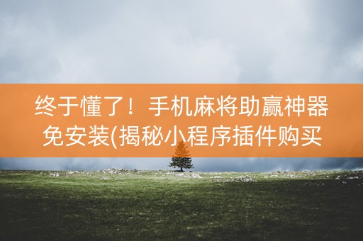 终于懂了！手机麻将助赢神器免安装(揭秘小程序插件购买)