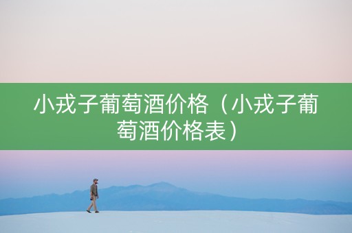 小戎子葡萄酒价格（小戎子葡萄酒价格表）