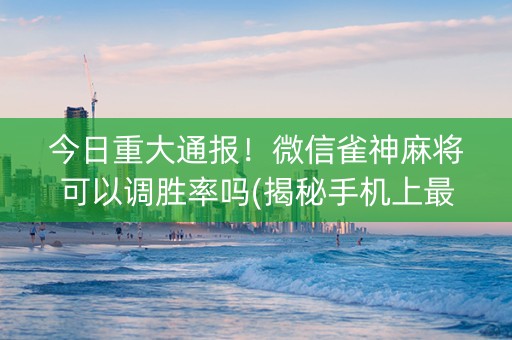 今日重大通报！微信雀神麻将可以调胜率吗(揭秘手机上最新神器下载)