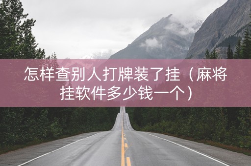 怎样查别人打牌装了挂（麻将挂软件多少钱一个）