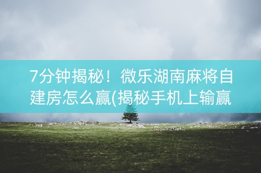 7分钟揭秘！微乐湖南麻将自建房怎么赢(揭秘手机上输赢技巧)