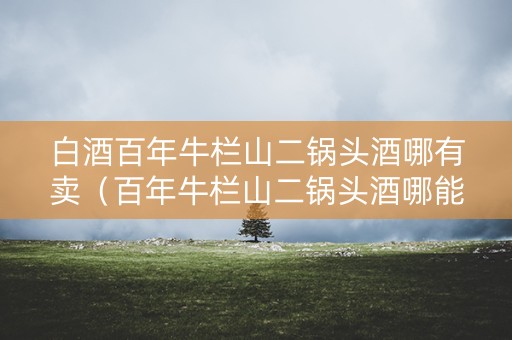 白酒百年牛栏山二锅头酒哪有卖（百年牛栏山二锅头酒哪能买）
