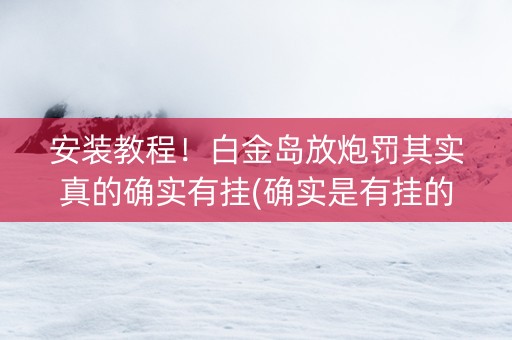 安装教程！白金岛放炮罚其实真的确实有挂(确实是有挂的)