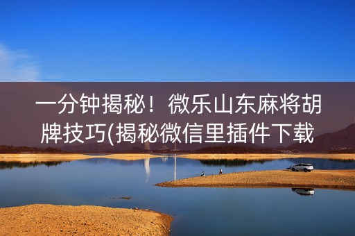 一分钟揭秘！微乐山东麻将胡牌技巧(揭秘微信里插件下载)