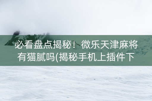 必看盘点揭秘！微乐天津麻将有猫腻吗(揭秘手机上插件下载)