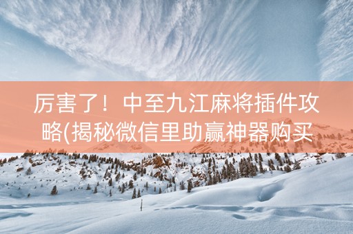 厉害了！中至九江麻将插件攻略(揭秘微信里助赢神器购买)