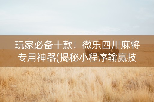 玩家必备十款！微乐四川麻将专用神器(揭秘小程序输赢技巧)