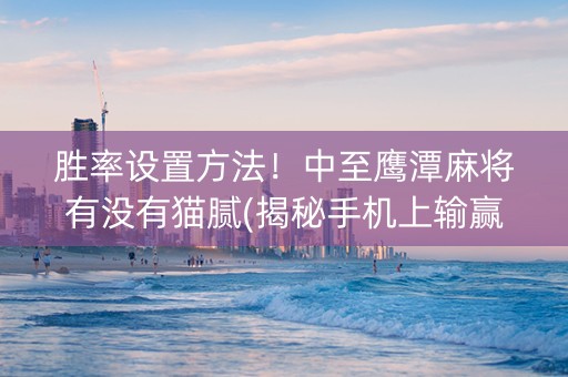 胜率设置方法！中至鹰潭麻将有没有猫腻(揭秘手机上输赢技巧)