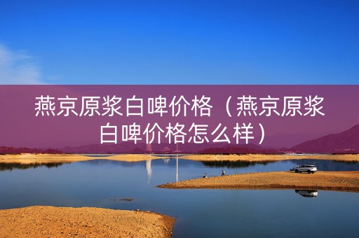 燕京原浆白啤价格（燕京原浆白啤价格怎么样）