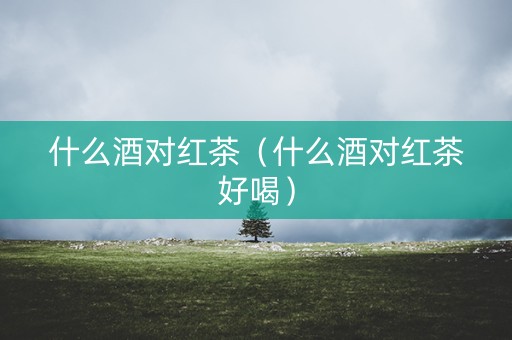 什么酒对红茶（什么酒对红茶好喝）