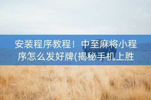 安装程序教程！中至麻将小程序怎么发好牌(揭秘手机上胜率到哪调)