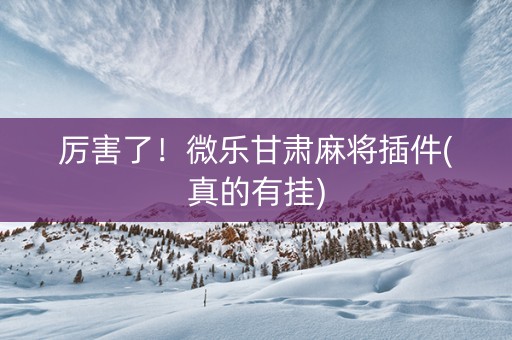 厉害了！微乐甘肃麻将插件(真的有挂)