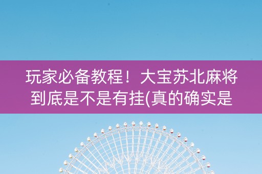 玩家必备教程！大宝苏北麻将到底是不是有挂(真的确实是有挂)