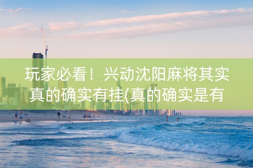 玩家必看！兴动沈阳麻将其实真的确实有挂(真的确实是有挂)