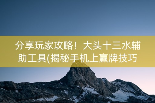分享玩家攻略！大头十三水辅助工具(揭秘手机上赢牌技巧)