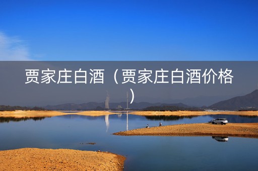 贾家庄白酒（贾家庄白酒价格）