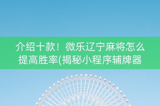 介绍十款！微乐辽宁麻将怎么提高胜率(揭秘小程序辅牌器)