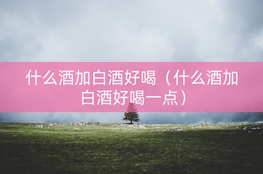 什么酒加白酒好喝（什么酒加白酒好喝一点）