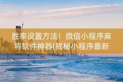 胜率设置方法！微信小程序麻将软件神器(揭秘小程序最新神器下载)