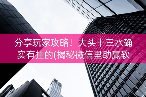 分享玩家攻略！大头十三水确实有挂的(揭秘微信里助赢软件)