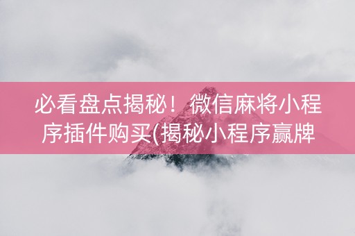 必看盘点揭秘！微信麻将小程序插件购买(揭秘小程序赢牌的技巧)