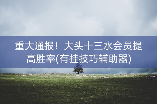 重大通报！大头十三水会员提高胜率(有挂技巧辅助器)