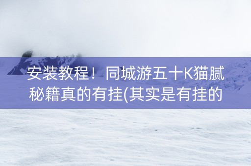 安装教程！同城游五十K猫腻秘籍真的有挂(其实是有挂的)