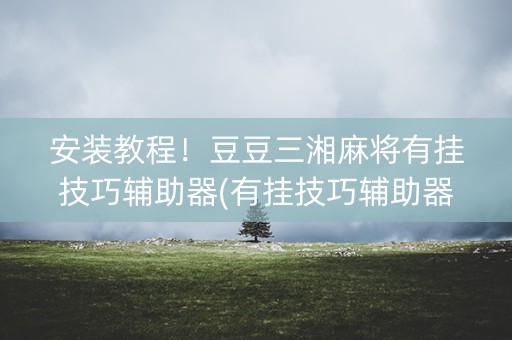 安装教程！豆豆三湘麻将有挂技巧辅助器(有挂技巧辅助器)