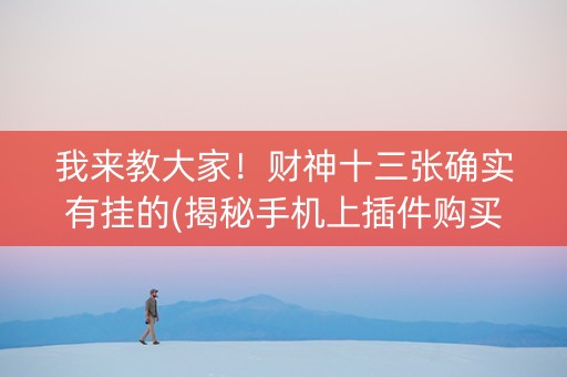 我来教大家！财神十三张确实有挂的(揭秘手机上插件购买)