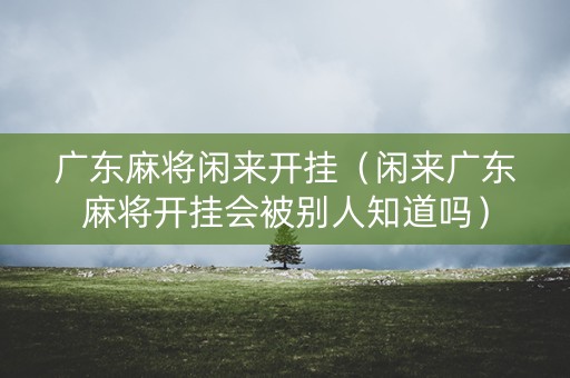 广东麻将闲来开挂（闲来广东麻将开挂会被别人知道吗）