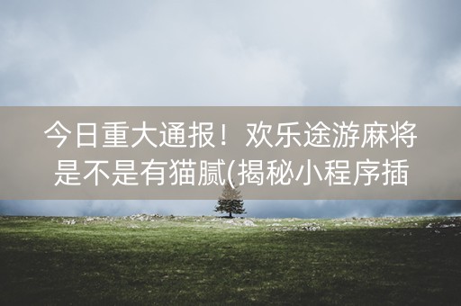 今日重大通报！欢乐途游麻将是不是有猫腻(揭秘小程序插件下载)