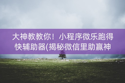 大神教教你！小程序微乐跑得快辅助器(揭秘微信里助赢神器购买)
