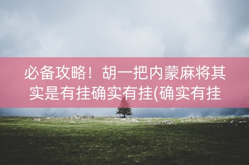 必备攻略！胡一把内蒙麻将其实是有挂确实有挂(确实有挂)