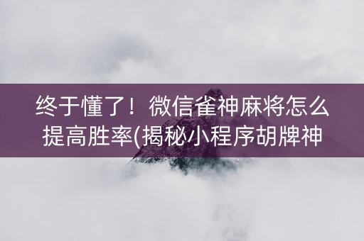 终于懂了！微信雀神麻将怎么提高胜率(揭秘小程序胡牌神器)