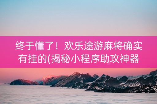 终于懂了！欢乐途游麻将确实有挂的(揭秘小程序助攻神器)