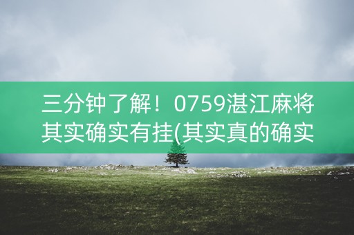 三分钟了解！0759湛江麻将其实确实有挂(其实真的确实有挂)