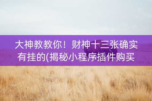 大神教教你！财神十三张确实有挂的(揭秘小程序插件购买)