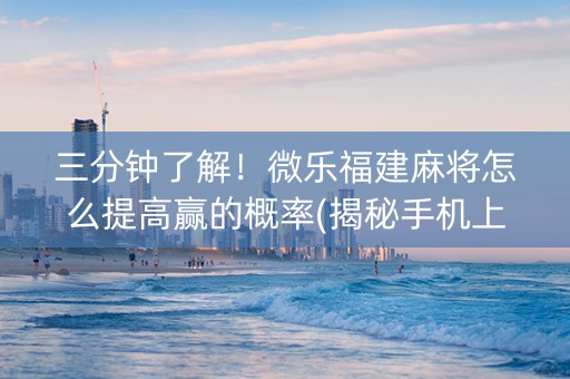 三分钟了解！微乐福建麻将怎么提高赢的概率(揭秘手机上攻略插件)