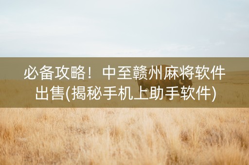 必备攻略！中至赣州麻将软件出售(揭秘手机上助手软件)