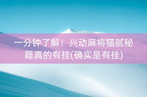 一分钟了解！兴动麻将猫腻秘籍真的有挂(确实是有挂)