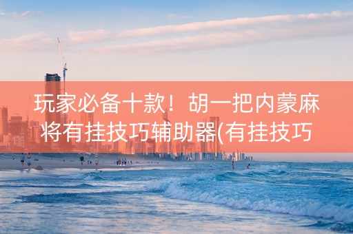 玩家必备十款！胡一把内蒙麻将有挂技巧辅助器(有挂技巧辅助器)