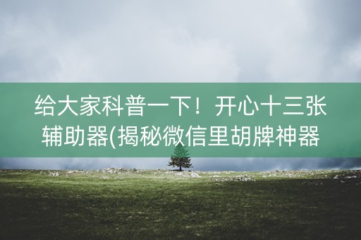 给大家科普一下！开心十三张辅助器(揭秘微信里胡牌神器)