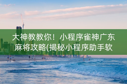 大神教教你！小程序雀神广东麻将攻略(揭秘小程序助手软件)