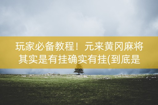 玩家必备教程！元来黄冈麻将其实是有挂确实有挂(到底是不是有挂)